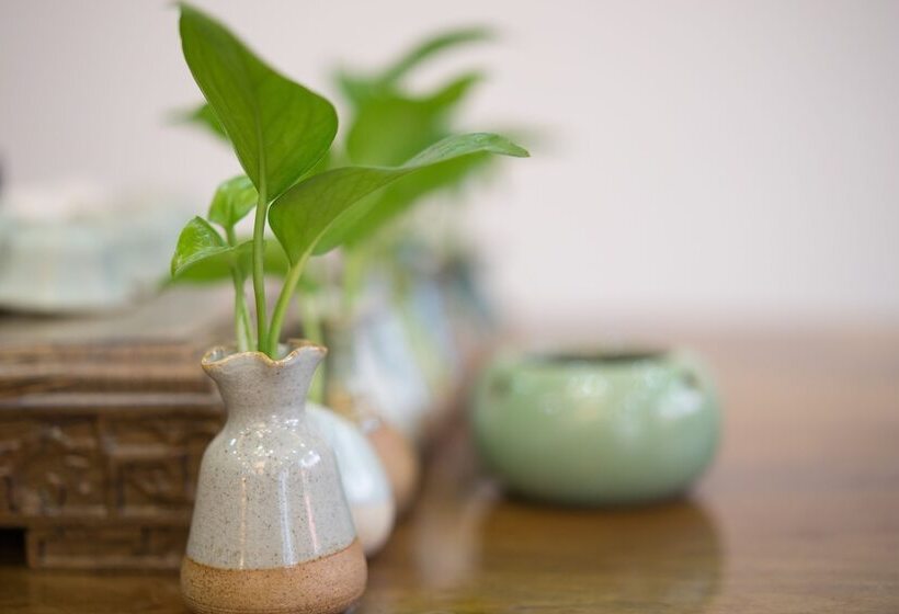 Fotos del hotel Yangshuo Xiangyi Inn:  4