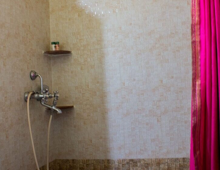 Fotos del hotel Shahi Palace:  23