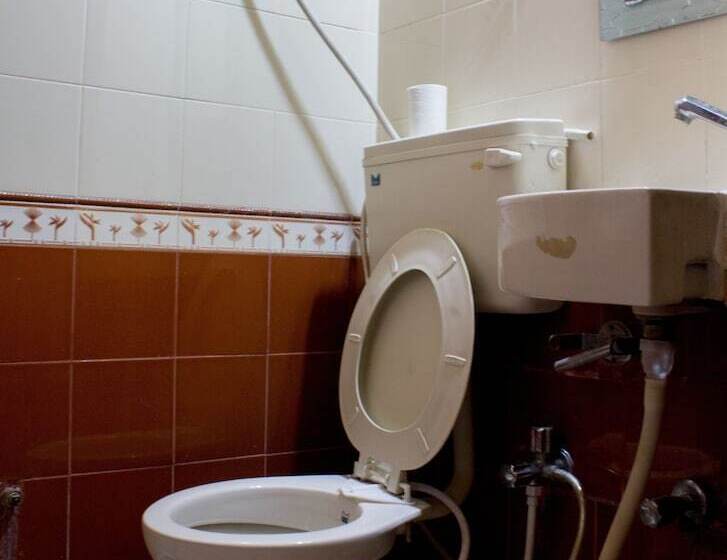 Fotos del hotel Shahi Palace:  18