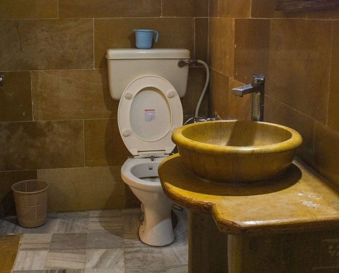 Fotos del hotel Shahi Palace:  25