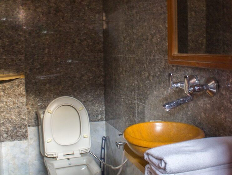 Fotos del hotel Shahi Palace:  13