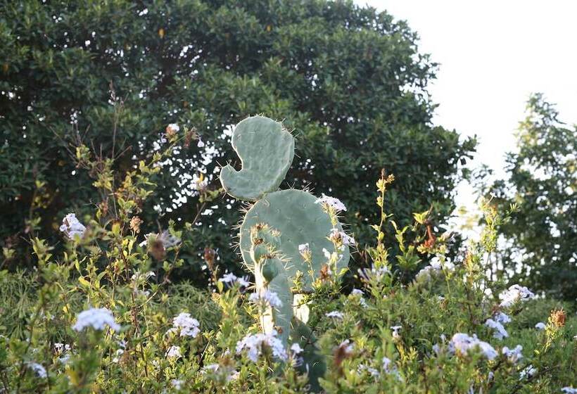 Fotos del hotel Villa Carlotta Resort:  6