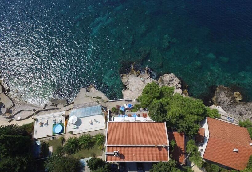 Fotos del hotel Elite Dobre Vode:  13