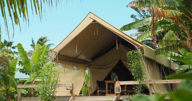 Fotos del hotel Ikurangi Eco Retreat:  8