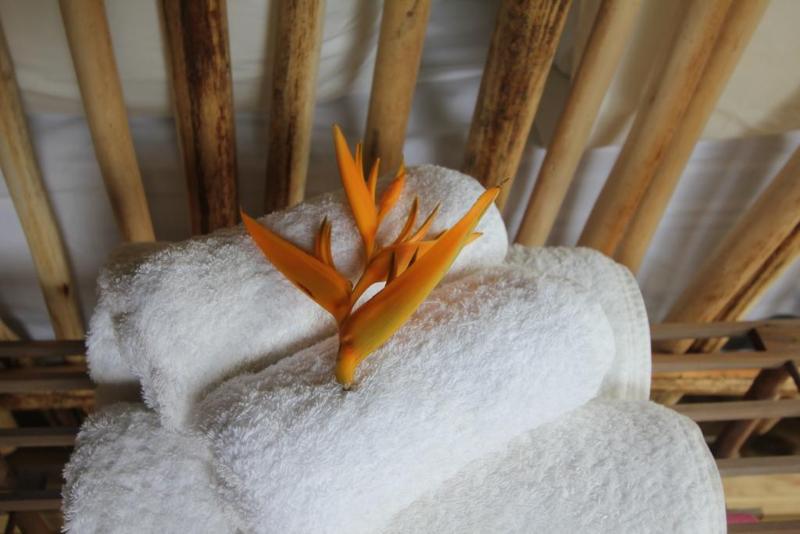 Fotos del hotel Ikurangi Eco Retreat:  11