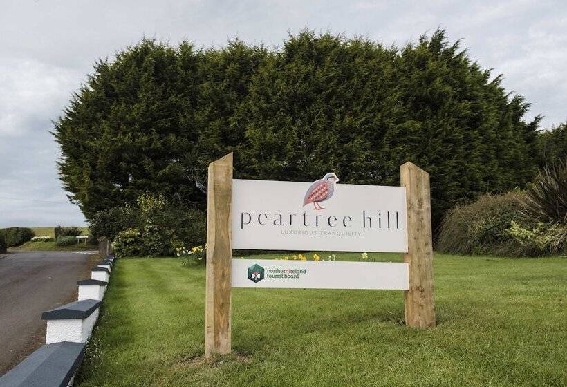 Fotos del hotel Peartree Hill:  5