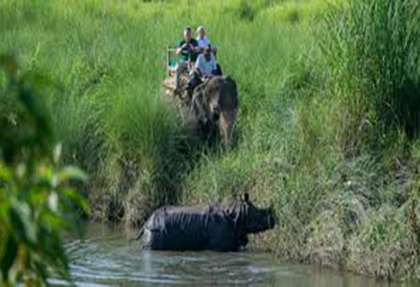 Fotos del hotel Tiger Residency Resort:  11