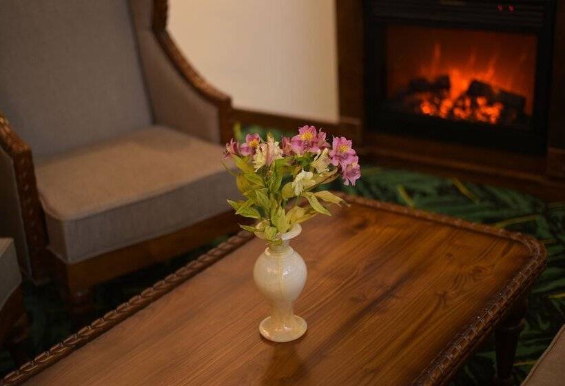 Fotos del hotel Araliya Green City:  12