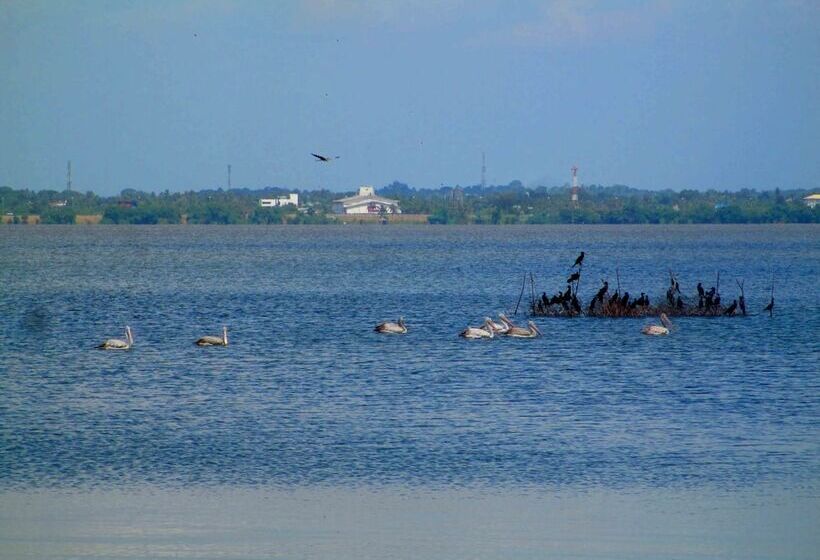 Fotos del hotel Nico Lagoon:  19