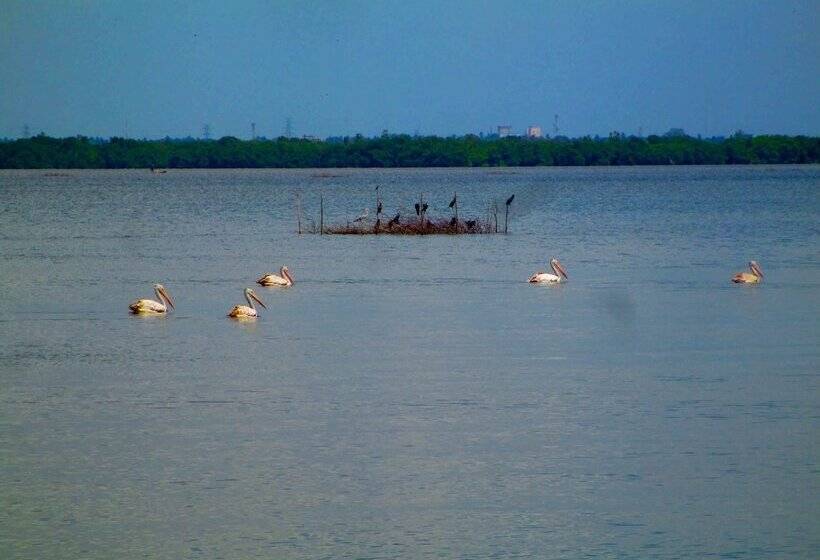 Fotos del hotel Nico Lagoon:  17