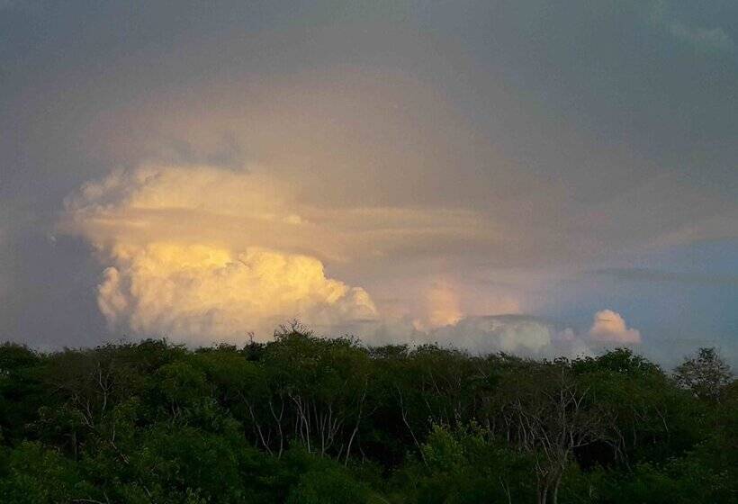 Fotos del hotel Nico Lagoon:  14