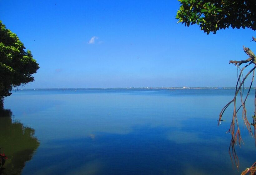 Fotos del hotel Nico Lagoon:  8