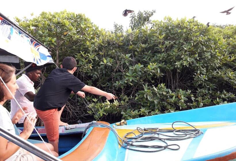 Fotos del hotel Nico Lagoon:  24