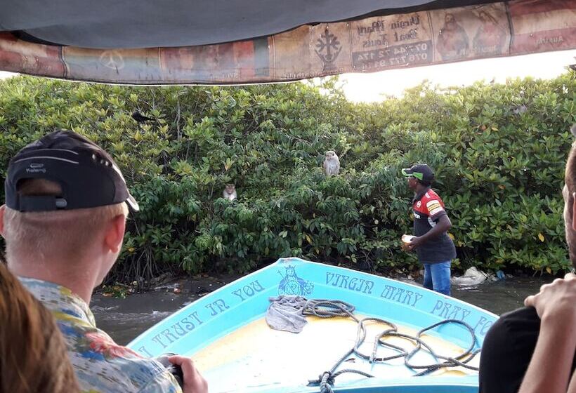 Fotos del hotel Nico Lagoon:  7