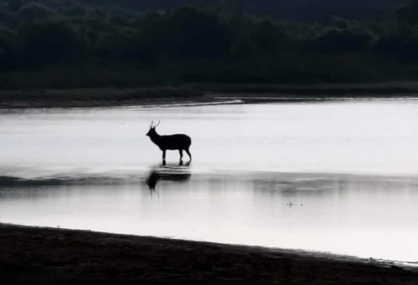 Fotos del hotel La Safari Inn Tissamaharama:  19