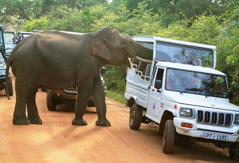 Fotos del hotel La Safari Inn Tissamaharama:  25