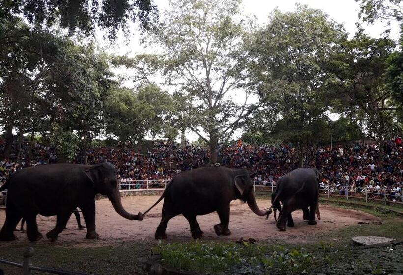 Fotos del hotel Weligama Bay Eco Villa:  12