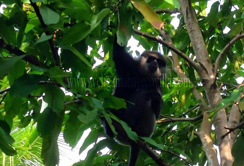 Fotos del hotel Weligama Bay Eco Villa:  7