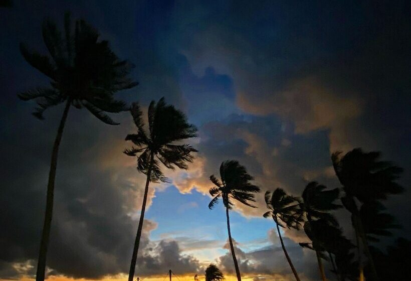 Fotos del hotel Urban Boutique:  16