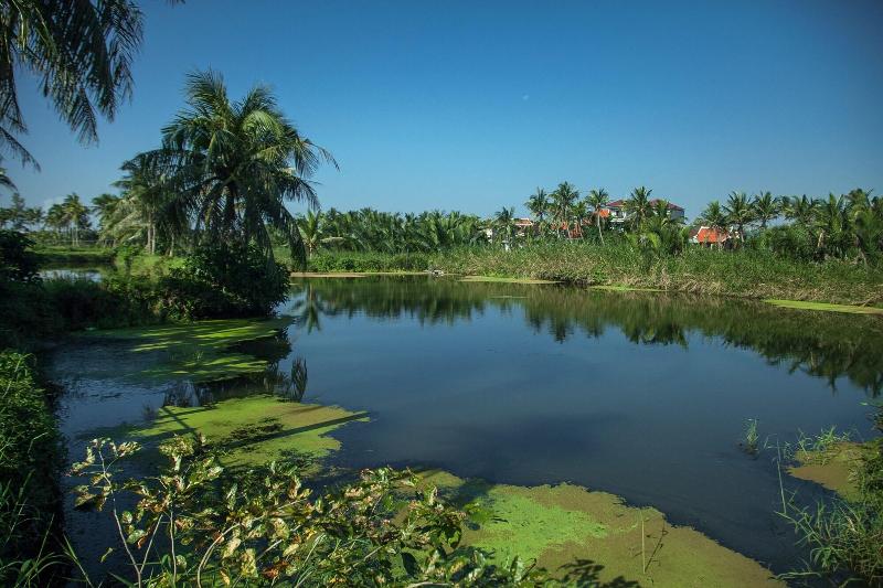 Fotos del hotel An Villa Hoi An:  9