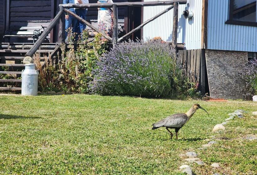 Fotos del hotel Cabañas Alechen:  25