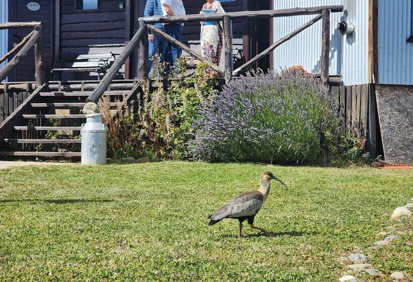 Fotos del hotel Cabañas Alechen:  15