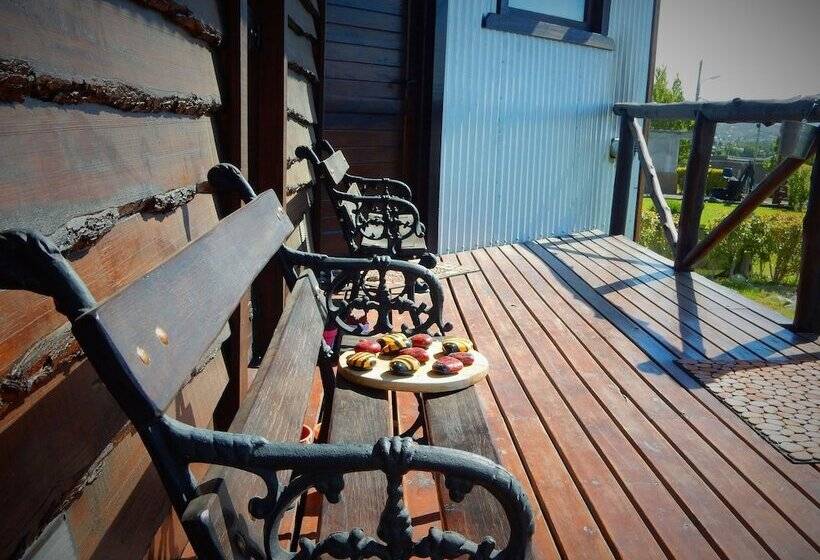 Fotos del hotel Cabañas Alechen:  5