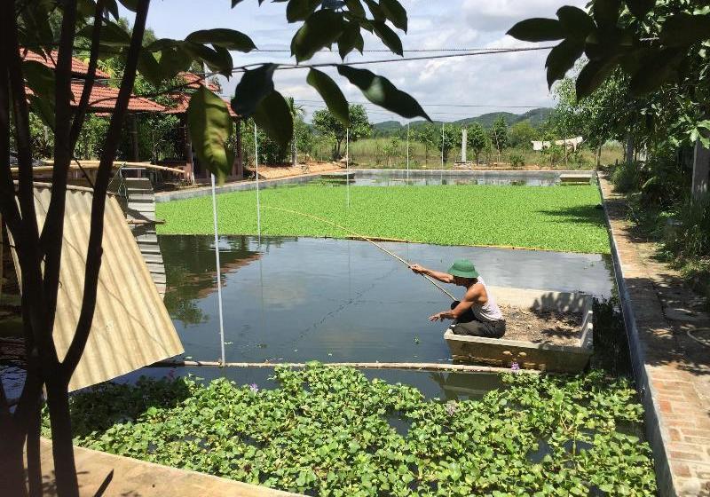 Fotos del hotel Huong Tuan Farmstay:  14