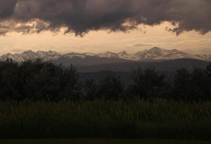 Fotos del hotel Tiger Nest Resort:  7