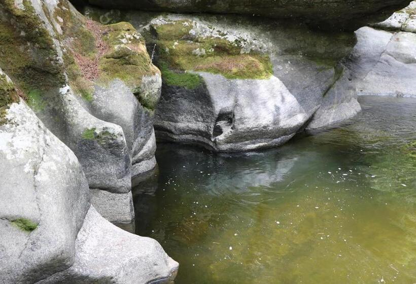 Fotos del hotel Tiger Nest Resort:  6