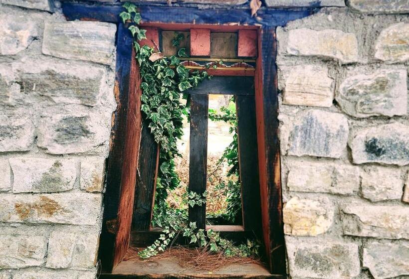 Fotos del hotel Tiger Nest Resort:  4