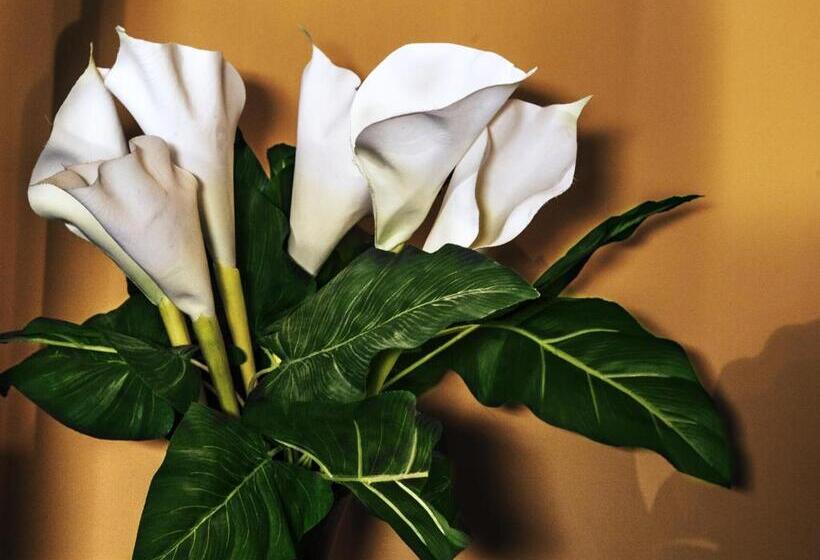 Fotos del hotel Art Fashion House Luxury Rooms:  17