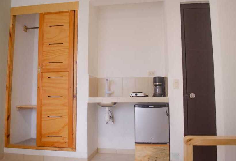 Fotos del hotel Axkan Click Suites:  12