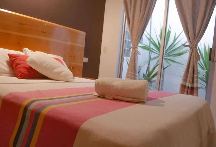 Fotos del hotel Axkan Click Suites:  13