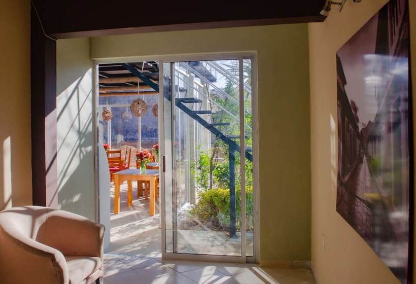 Fotos del hotel Axkan Click Suites:  15