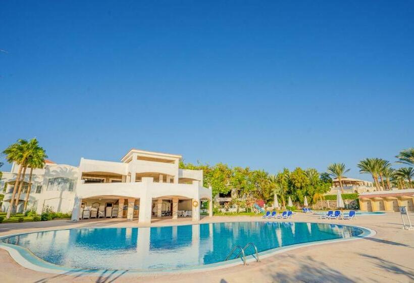 Fotos del hotel Cyrene Sharm Hotel:  19