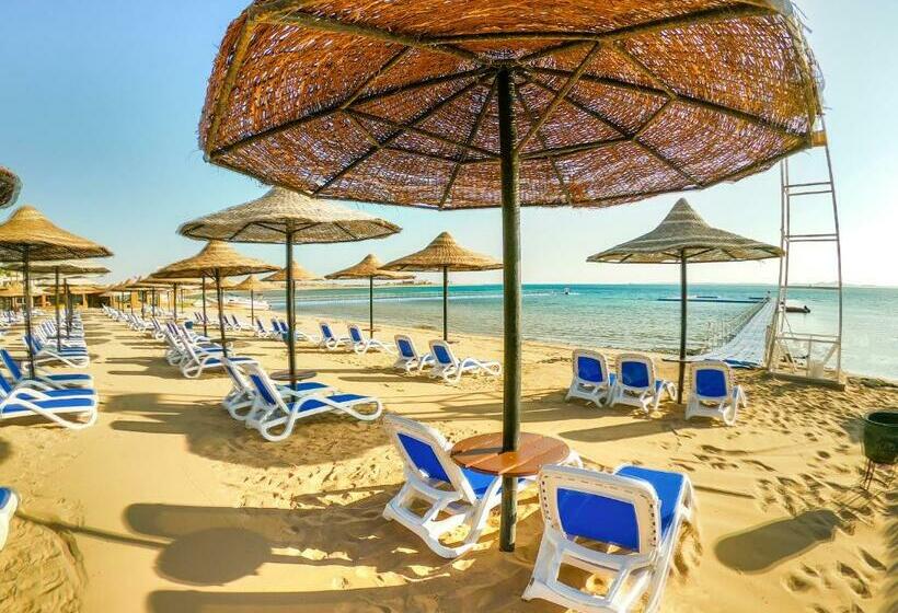 Fotos del hotel Cyrene Sharm Hotel:  14