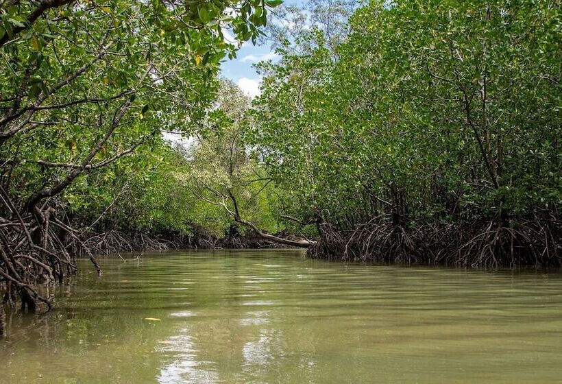 Fotos del hotel Amantra Lake View Resort:  13