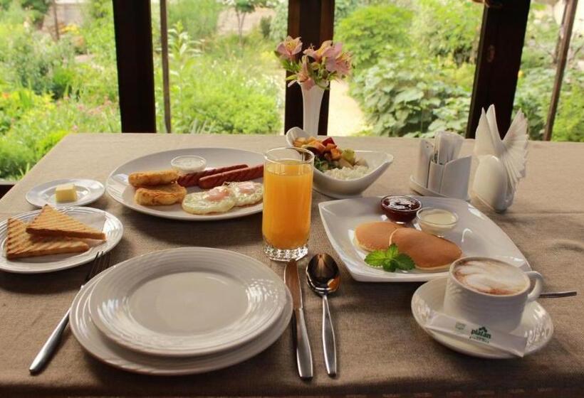 Fotos del hotel Platan:  12