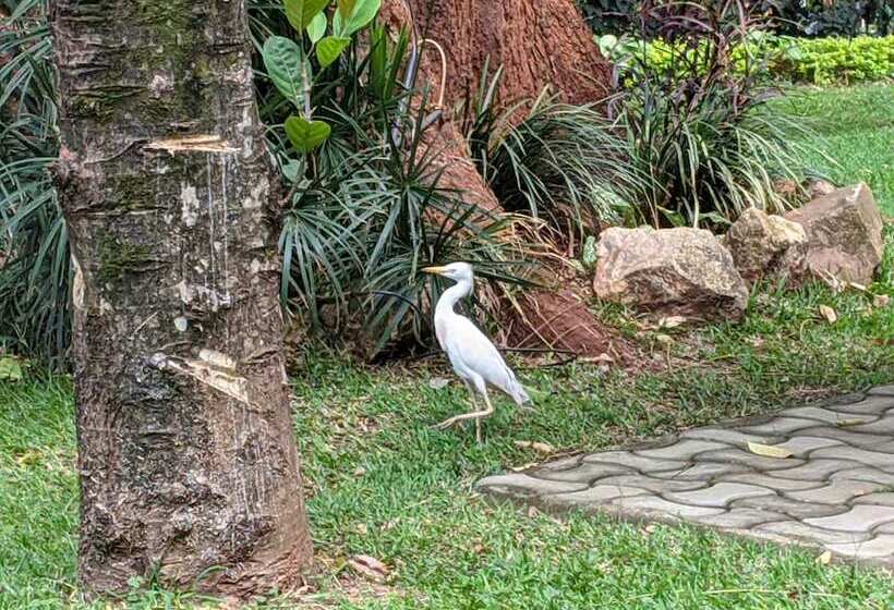 Fotos del hotel Ruch:  23