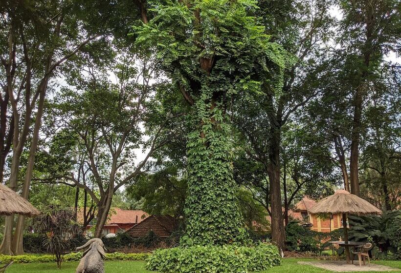 Fotos del hotel Ruch:  20