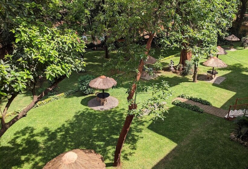 Fotos del hotel Ruch:  17