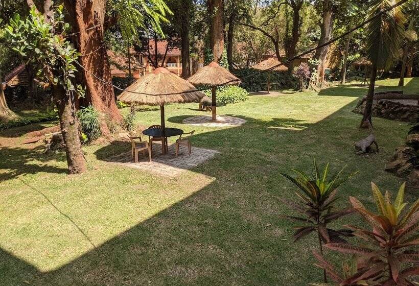 Fotos del hotel Ruch:  14