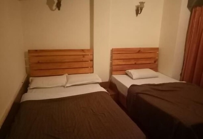 Fotos del hotel Sonam Trophel Inn:  6