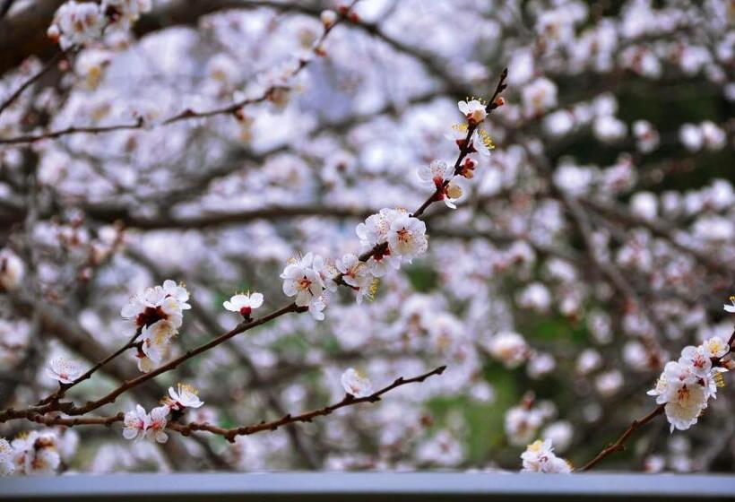 Fotos del hotel Gallery Inn:  19