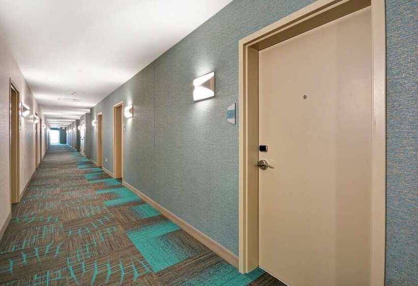 Fotos del hotel Home2 Suites At The Galleria:  16