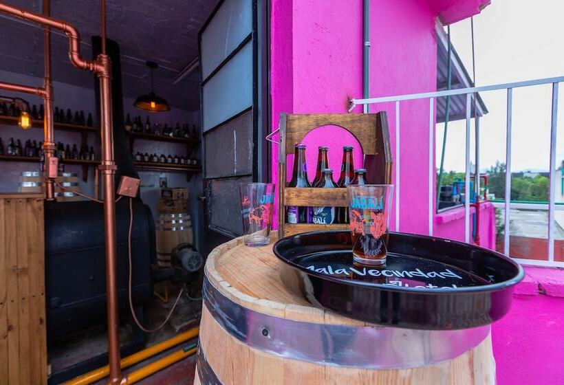 Fotos del hotel Mala Vecindad Beer:  11