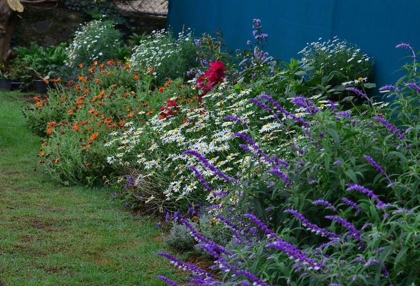 Fotos del hotel Ripon Grand Hill:  2