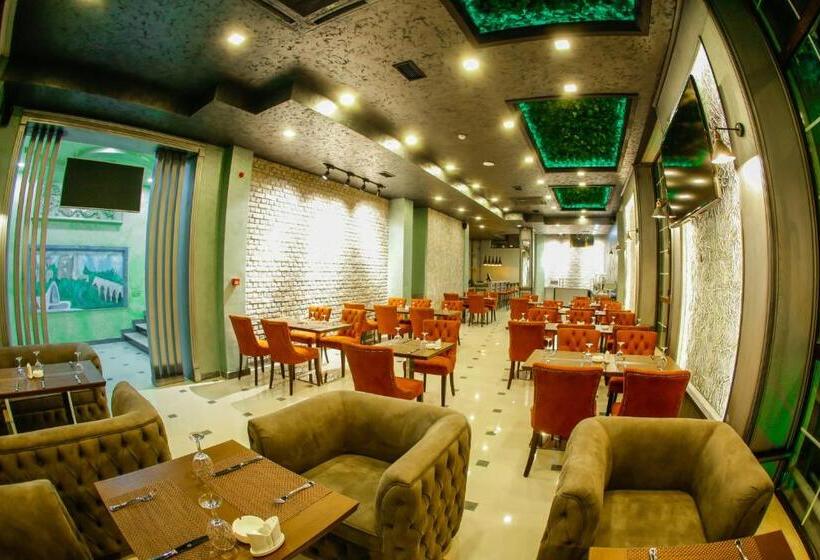 Fotos del hotel Villa Inn:  20