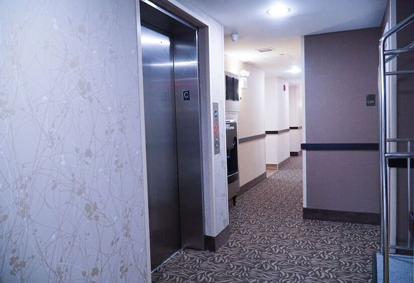 Fotos del hotel Mint Jfk Airport:  12